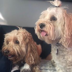 Meet your Posher, Jaime